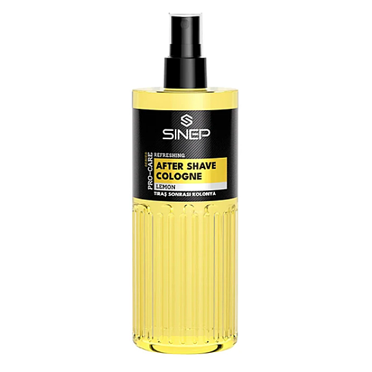 ���� ���� ����� SINEP Lemon 400 ��� � �� ���� ����� �����