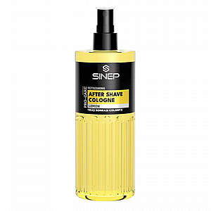 ���� ���� ����� SINEP Lemon 400 ��� � �� ���� ����� �����