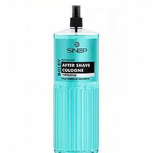 ���� ���� ����� SINEP Turquoise 1000 ��� � ����� ���� �� ����� ��������