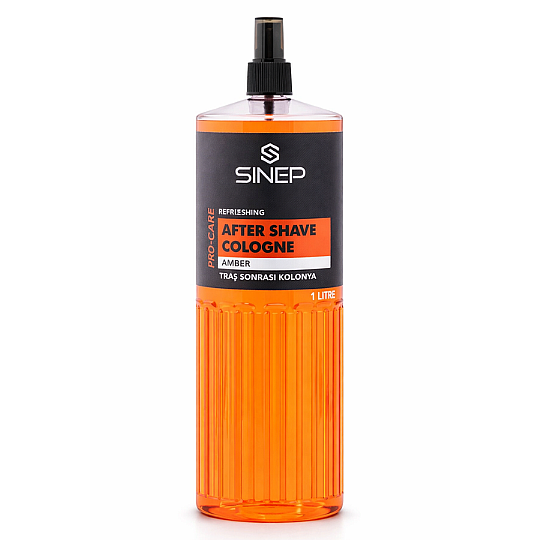 ���� ���� ����� SINEP Amber 1000 ��� � ����� ����� ����