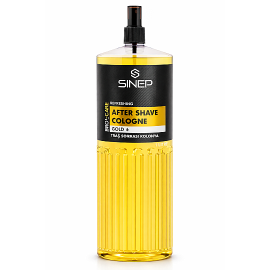 ���� ���� ����� SINEP Gold 1000 ��� � ����� ��� ������