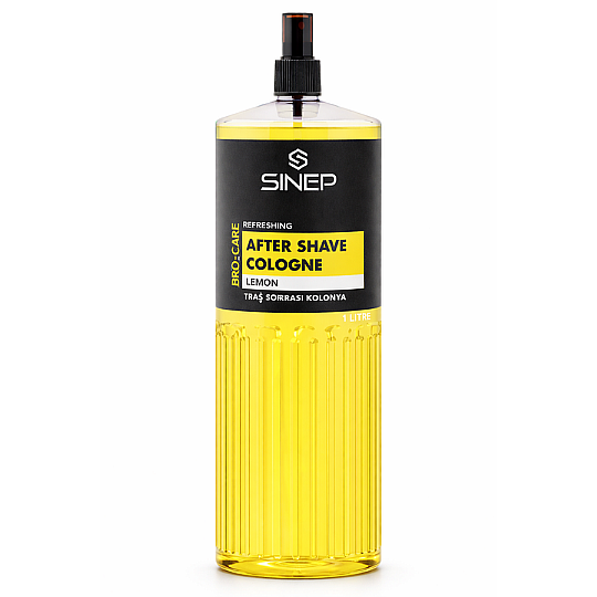 ���� ���� ����� SINEP Lemon 1000 ��� � �� ���� ����� �����