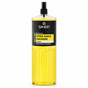 ���� ���� ����� SINEP Lemon 1000 ��� � �� ���� ����� �����