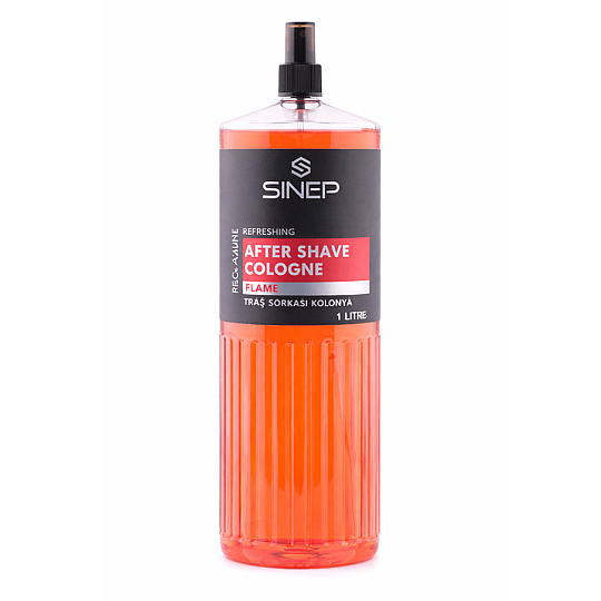 ���� ���� ����� SINEP Flame 1000 ��� � ����� �� �� ������ �����